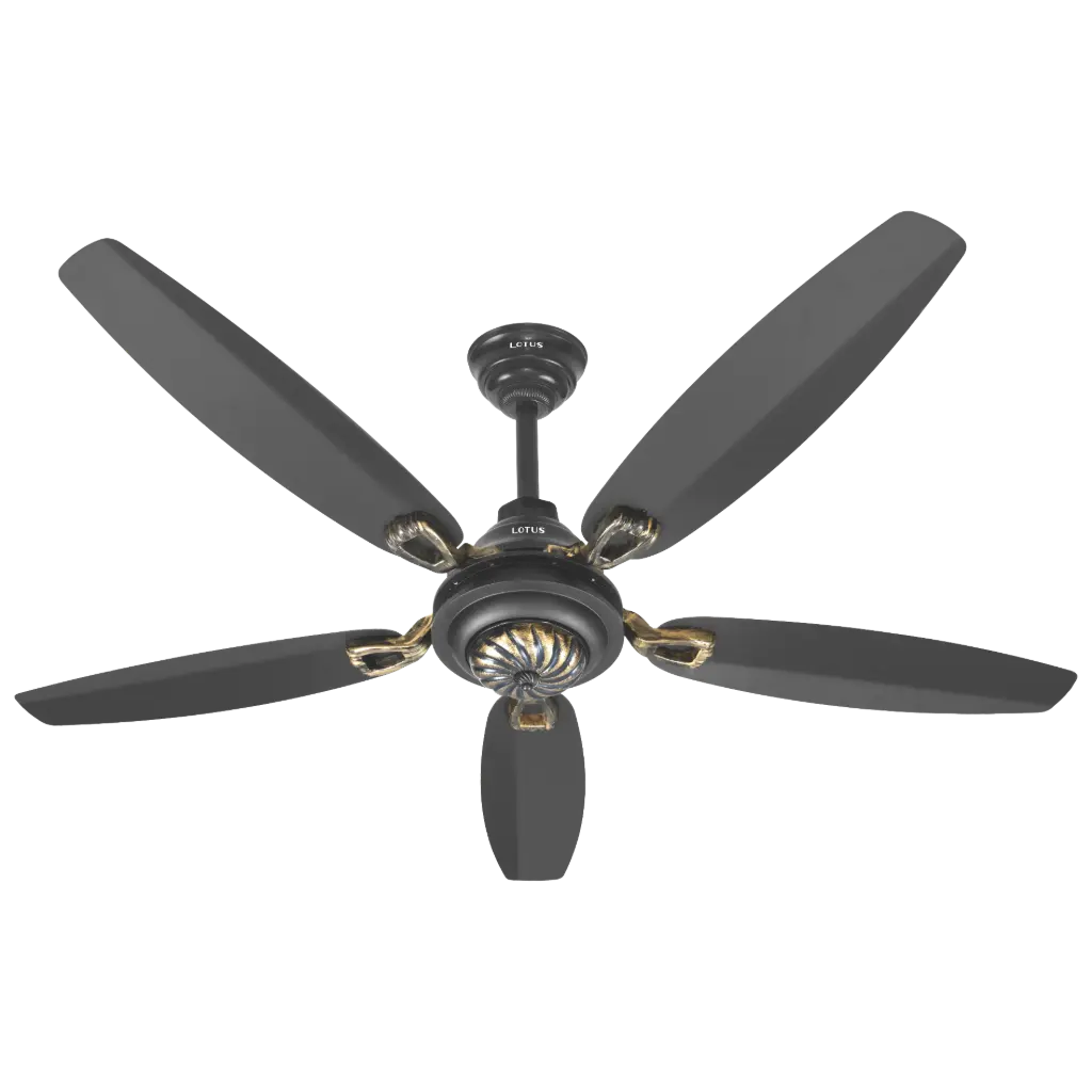 Lotus Model With Remote Control Black + Antique Golden BLDC INVERTER 30W 56"